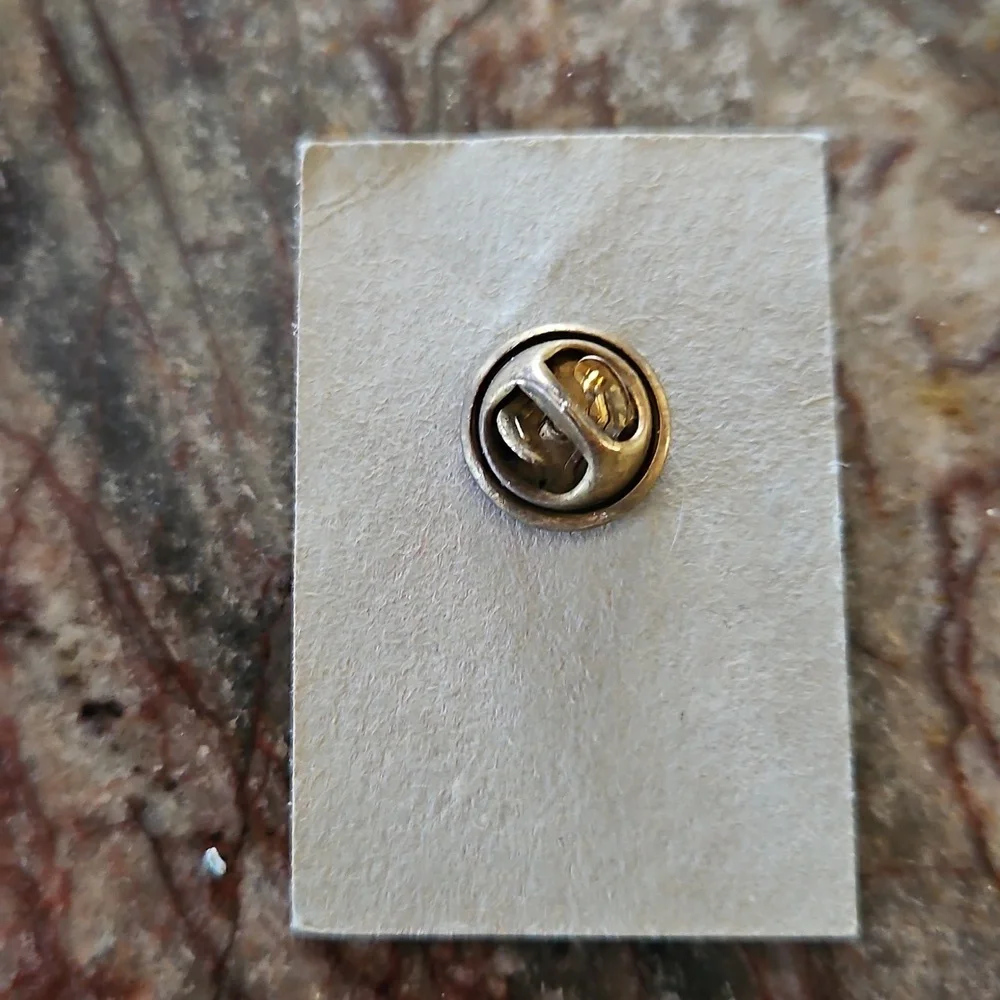 POLINI pin